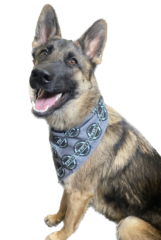 Pet bandana